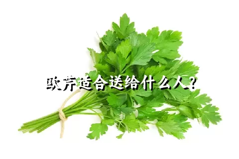 欧芹适合送给什么人？