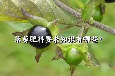 落葵肥料要求知识有哪些？