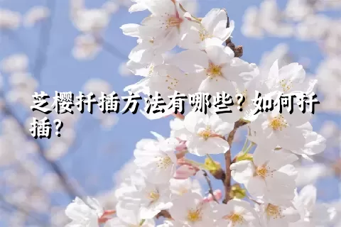 芝樱扦插方法有哪些？如何扦插？