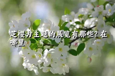 芝樱为主题的展览有那些？在哪里