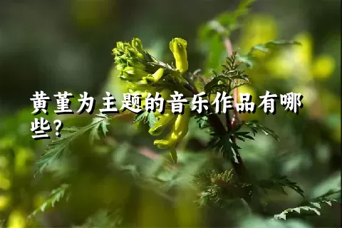 黄堇为主题的音乐作品有哪些？