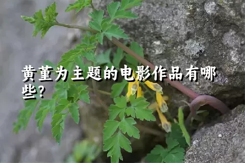 黄堇为主题的电影作品有哪些？