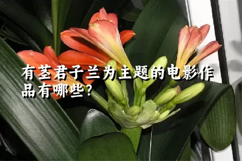 有茎君子兰为主题的电影作品有哪些？
