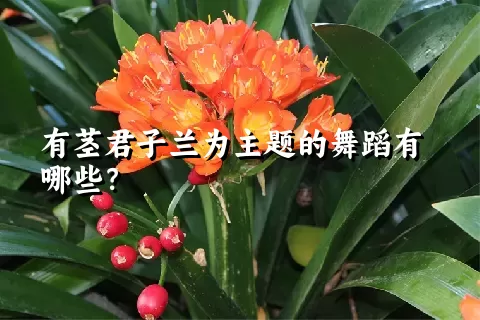 有茎君子兰为主题的舞蹈有哪些？