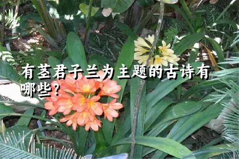 有茎君子兰为主题的古诗有哪些？