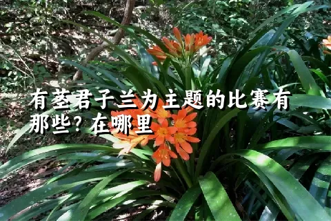 有茎君子兰为主题的比赛有那些？在哪里