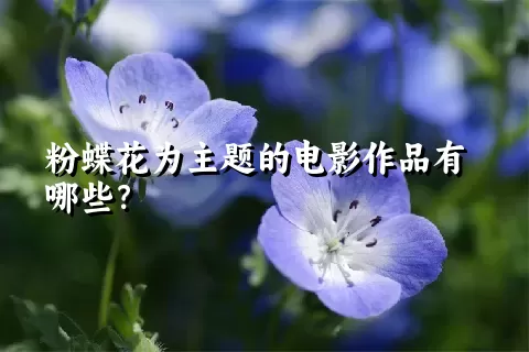 粉蝶花为主题的电影作品有哪些？