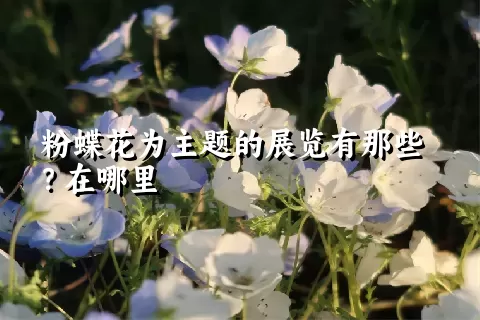 粉蝶花为主题的展览有那些？在哪里