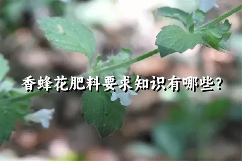 香蜂花肥料要求知识有哪些？
