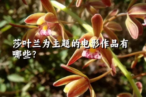 莎叶兰为主题的电影作品有哪些？