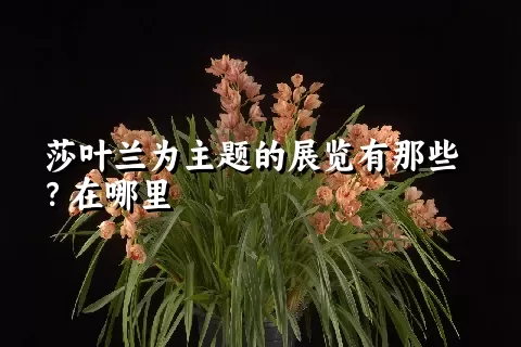 莎叶兰为主题的展览有那些？在哪里