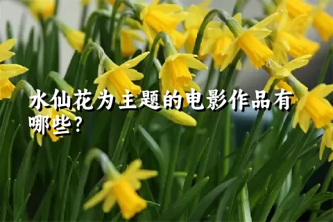 水仙花为主题的电影作品有哪些？