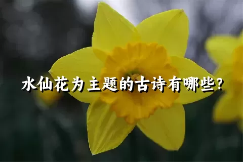 水仙花为主题的古诗有哪些？