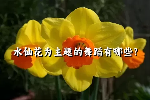 水仙花为主题的舞蹈有哪些？