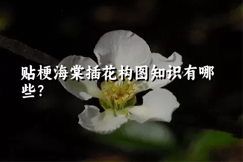 贴梗海棠插花构图知识有哪些？