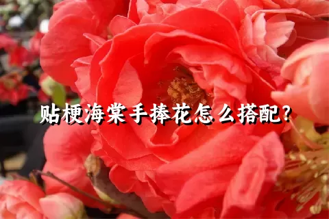 贴梗海棠手捧花怎么搭配？