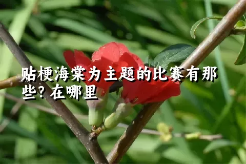 贴梗海棠为主题的比赛有那些？在哪里