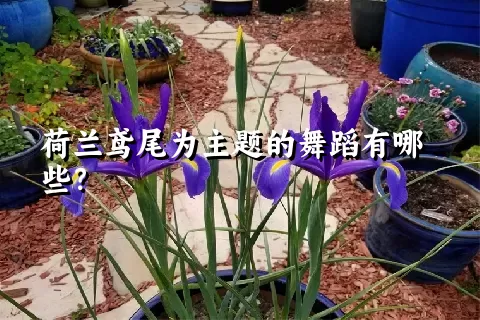荷兰鸢尾为主题的舞蹈有哪些？