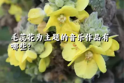 毛蕊花为主题的音乐作品有哪些？