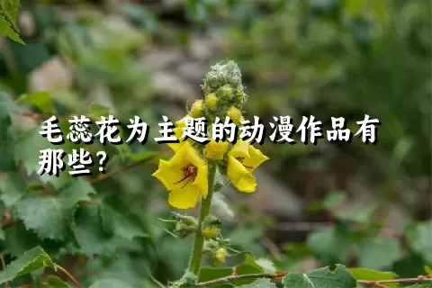 毛蕊花为主题的动漫作品有那些？