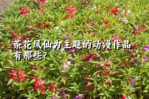 茶花凤仙为主题的动漫作品有那些？