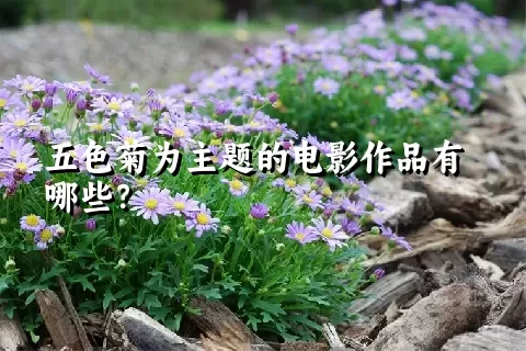 五色菊为主题的电影作品有哪些？