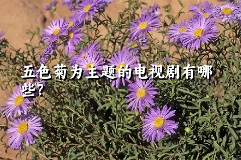 五色菊为主题的电视剧有哪些？