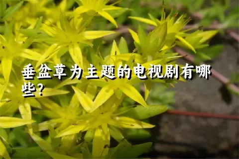 垂盆草为主题的电视剧有哪些？