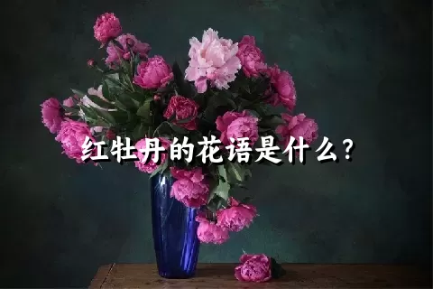 红牡丹的花语是什么？
