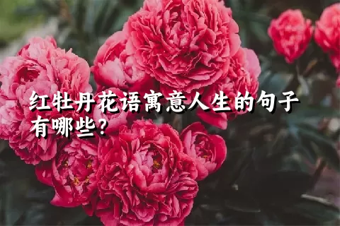 红牡丹花语寓意人生的句子有哪些？