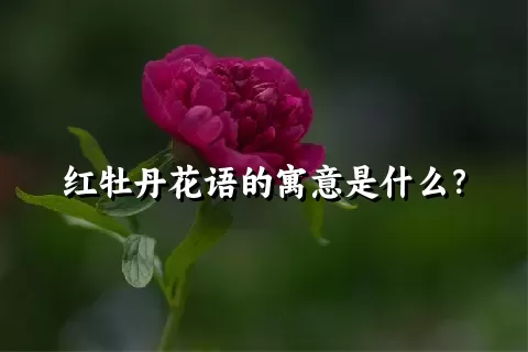 红牡丹花语的寓意是什么？