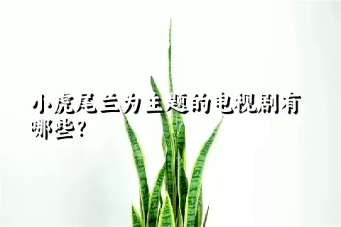 小虎尾兰为主题的电视剧有哪些？
