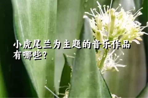 小虎尾兰为主题的音乐作品有哪些？