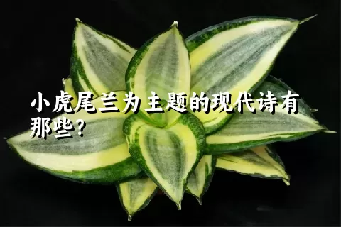小虎尾兰为主题的现代诗有那些？