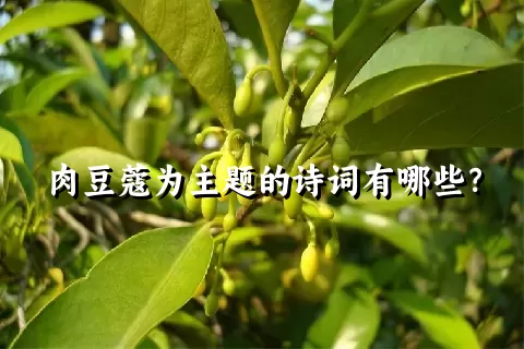 肉豆蔻为主题的诗词有哪些？