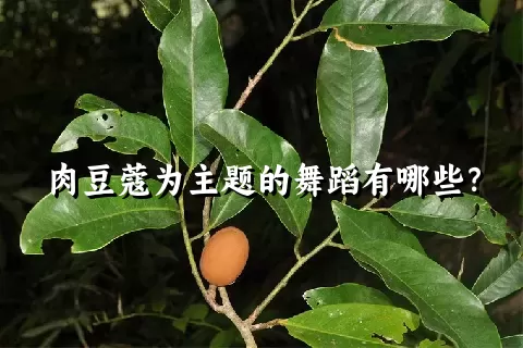 肉豆蔻为主题的舞蹈有哪些？