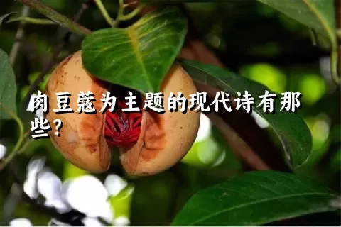 肉豆蔻为主题的现代诗有那些？
