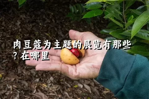 肉豆蔻为主题的展览有那些？在哪里