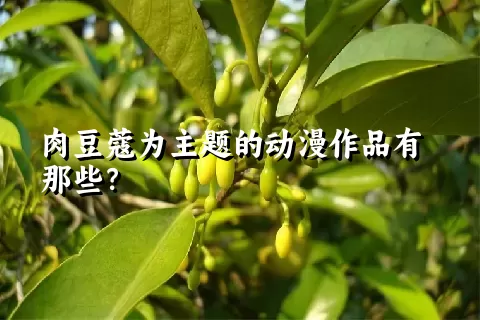 肉豆蔻为主题的动漫作品有那些？