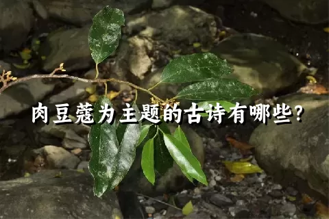 肉豆蔻为主题的古诗有哪些？