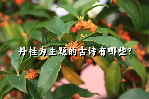 丹桂为主题的古诗有哪些？
