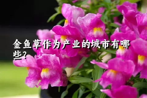 金鱼草作为产业的城市有哪些？