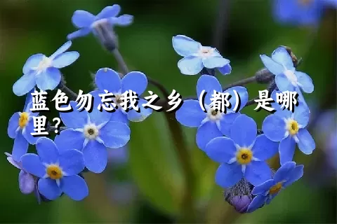 蓝色勿忘我之乡（都）是哪里？