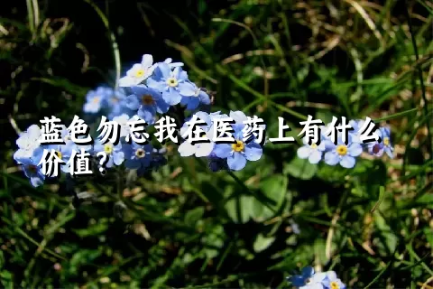 蓝色勿忘我在医药上有什么价值？
