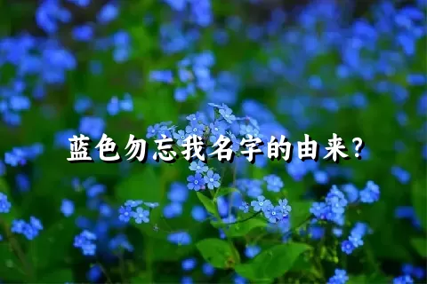 蓝色勿忘我名字的由来？
