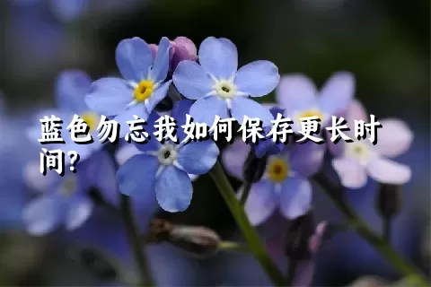 蓝色勿忘我如何保存更长时间？