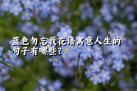 蓝色勿忘我花语寓意人生的句子有哪些？