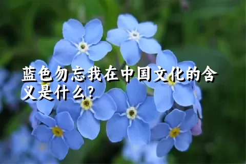 蓝色勿忘我在中国文化的含义是什么？