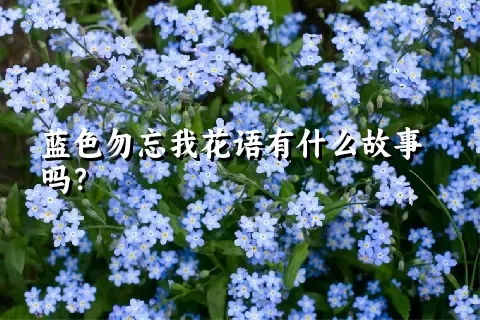 蓝色勿忘我花语有什么故事吗？