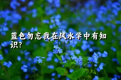 蓝色勿忘我在风水学中有知识？